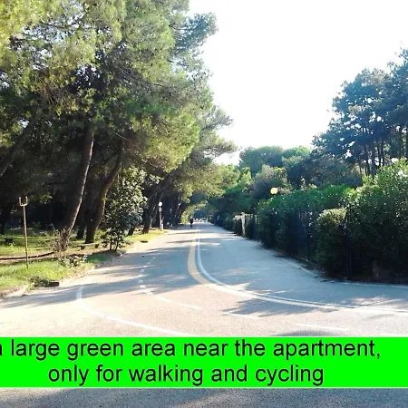 Cristallo Sea View Апартаменты Линьяно-Саббьядоро